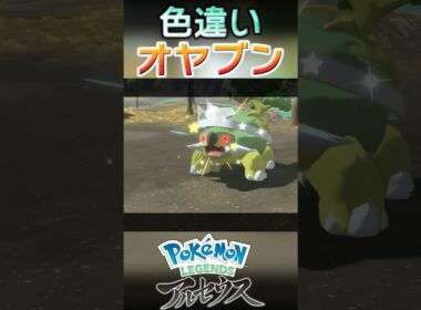 戦闘！色違いオヤブンドダイトス