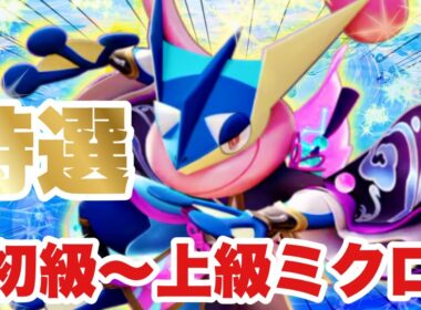 【これだけで差がつく】ゲッコウガのミクロ特集！