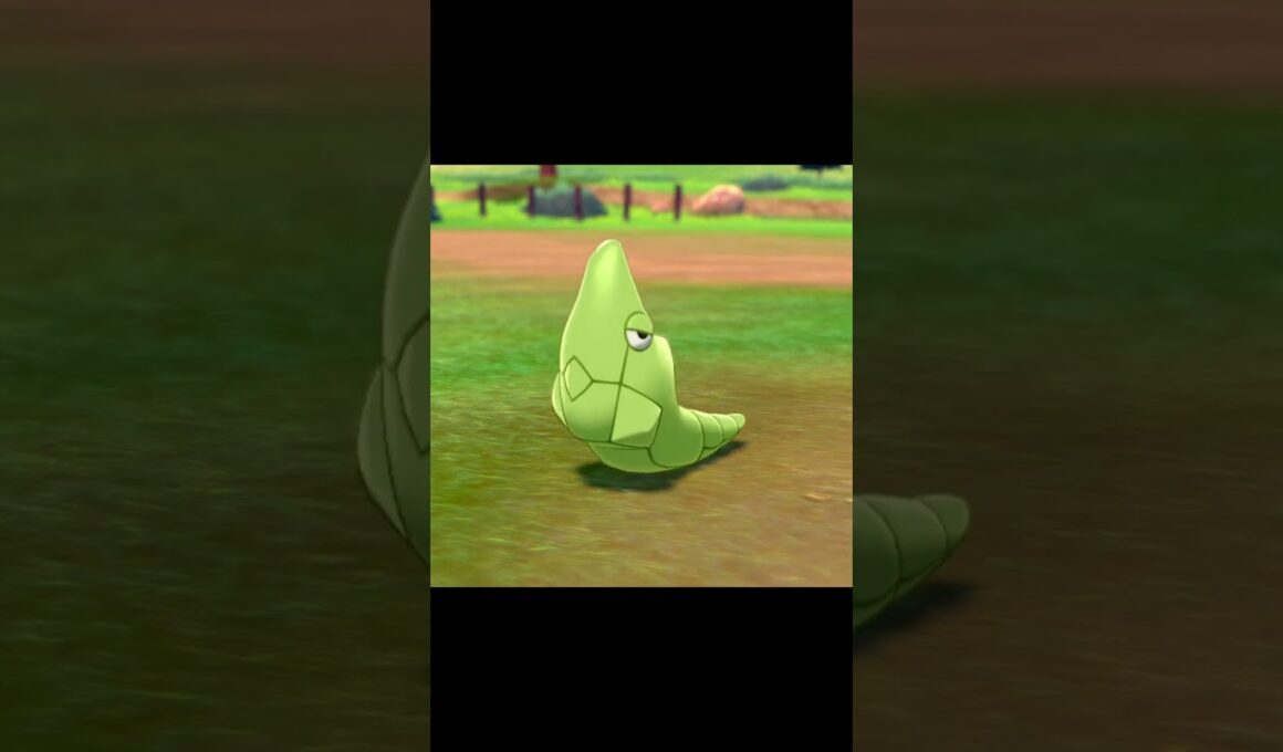 こちらを見つめるトランセル　#Snorts