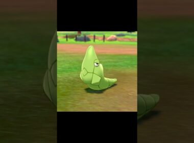 こちらを見つめるトランセル　#Snorts