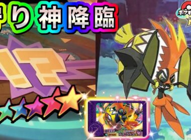 守り神降臨‼️初対戦のカプ・コケコをゲットすることはできるのか❓【ベストタッグ2だん】