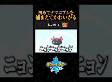 初めてナマコブシを捕まえてかわいがるにこめいとww【ポケモン剣盾あるある】