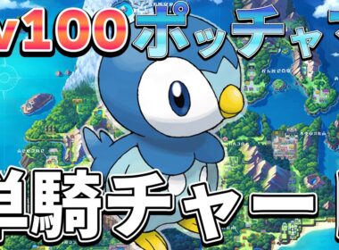 Lv100ポッチャマ単騎チャート【ポケモンBDSP】