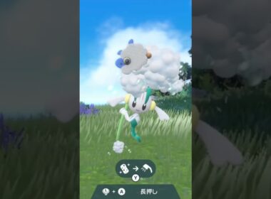 フラエッテ オレンジ  Floette【ポケモンsv】