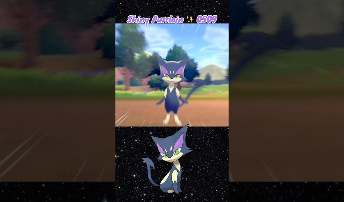 Shiny Purrloin ✨ 0509 caught in the Wild in Pokemon Sword with Shiny Charm & 30 KOs