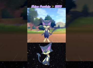 Shiny Purrloin ✨ 0509 caught in the Wild in Pokemon Sword with Shiny Charm & 30 KOs