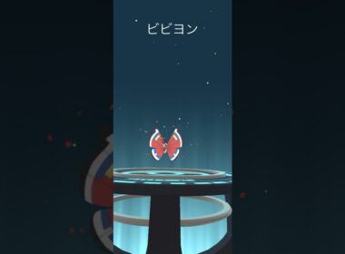 【Pokémon GO】 Shiny Scatterbug → Spewpa → Vivillon Evolve 🔥