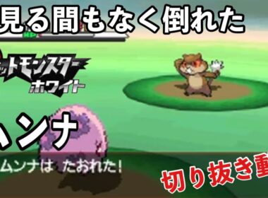 【ポケットモンスターホワイト】夢見る間もなく倒れたムンナ[Tiktok配信 切り抜き動画]