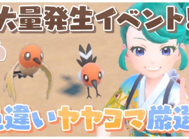 【#ポケモンSV 】大量発生イベント！色違いヤヤコマ厳選！でっかいあかし持ち狙うぞ！ #161【Lapinna】