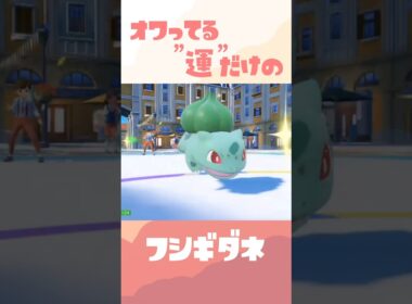 オワってる型フシギダネ #ポケモン #ポケモンsv #スカーレットバイオレット【過去動画ショート】