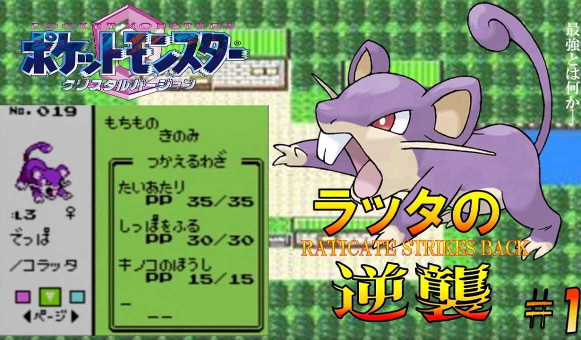 【ポケモン1匹縛りプレイ】ラッタにきのこのほうしを覚えさせてジョウトを旅してレッドに逆襲する!!ポケモン1匹縛りプレイ強化コラッタきみにきめた!! part1【ゲーム実況】【縛りプレイ】