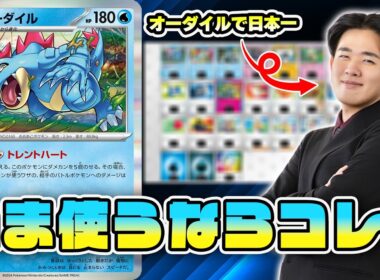 【ポケカ】今オーダイル使うならコレです！日本一のオーダイルプレイヤーによる『かじりつく＆アドレナブレイン』で相手のポケモンを削り取れ！