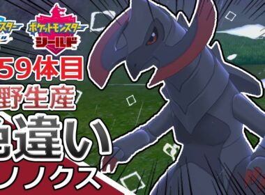 【自然遭遇】色違いオノノクスに振り回された男【ポケモンソード・シールド】