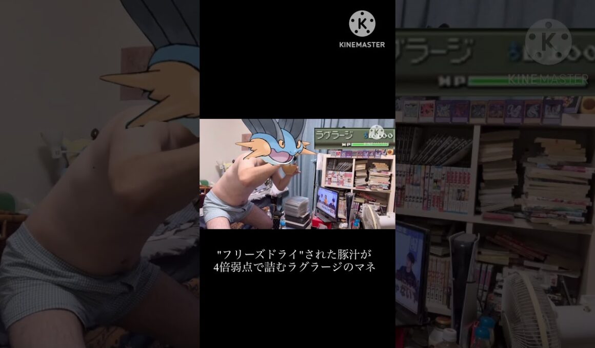 【ポケモン】"フリーズドライ"された豚汁が4倍弱点で詰むラグラージのマネ