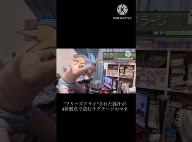 【ポケモン】"フリーズドライ"された豚汁が4倍弱点で詰むラグラージのマネ