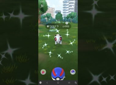 色違い　ココドラ　初ゲット　ポケモンGO