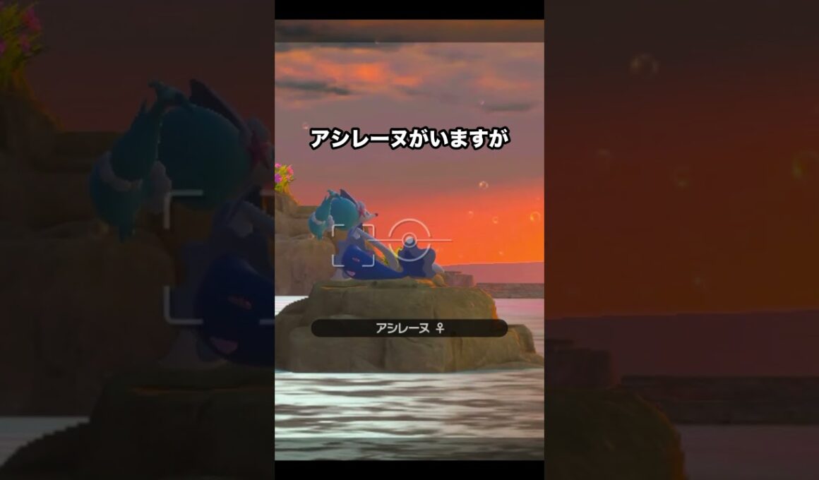 ポケモン界No.1の絶景？！夕日とアシレーヌ #ポケモン #newポケモンスナップ