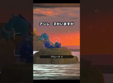 ポケモン界No.1の絶景？！夕日とアシレーヌ #ポケモン #newポケモンスナップ