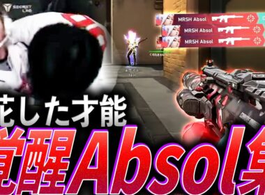 【貫禄】チームを託されたエース。開花した才能、覚醒Absol集【VCJ 2024 - 2025 Split2 Advance Stage:MRSH Absol】