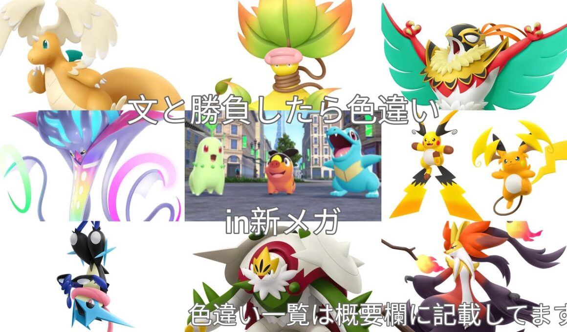 文と勝負したら色違いin新メガ　伝説がおまけでついてくる