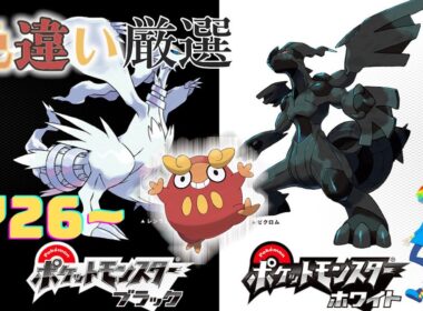 【ポケモンBW】4番道路(Shiny Pokémon)厳選(2726~)