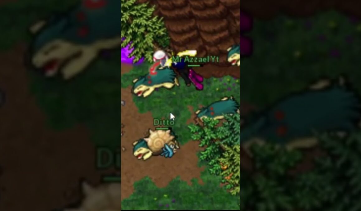 Shiny Typhlosion na PB #johto #pxg