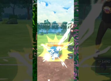 #マリルリにもアーマーガアにも強すぎデデンネ！