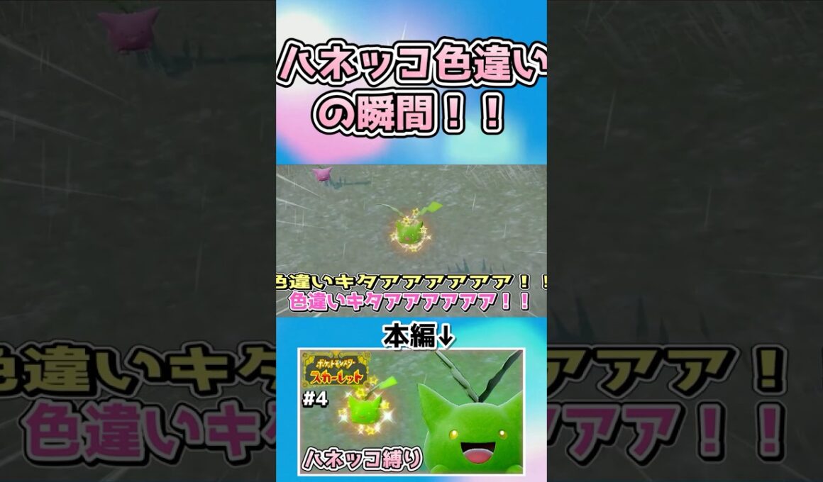 【ポケモンSV】ハネッコの色違いを見つけて大喜びする実況者【ゆっくり実況】