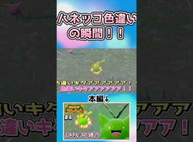 【ポケモンSV】ハネッコの色違いを見つけて大喜びする実況者【ゆっくり実況】
