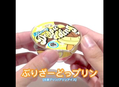 ぶりざーどっプリンゴチゾウ【オリジナルゴチゾウ】冷凍プリン/プリンアイス