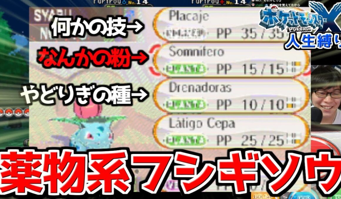 薬〇系フシギソウ『シャブ』爆誕！！