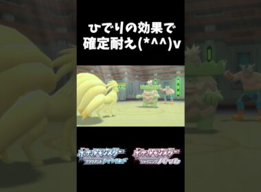 ひでりの効果で確定耐え #shorts #ポケモンBDSP #キュウコン #ひでり #ルンパッパ