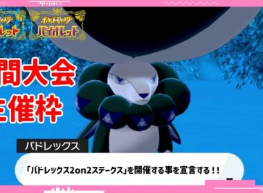 仲間大会！バドレックス2on2ステークス！【主催者視点】