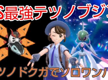 最強テツノブジンをテツノドクガを使ってソロでワンパンしてみた。