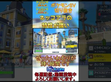 【マイナー特性】ネッコアラが禁止伝説に勝つ瞬間【#ポケモンsv 】【#碧の仮面 】【#藍の円盤 】#shorts
