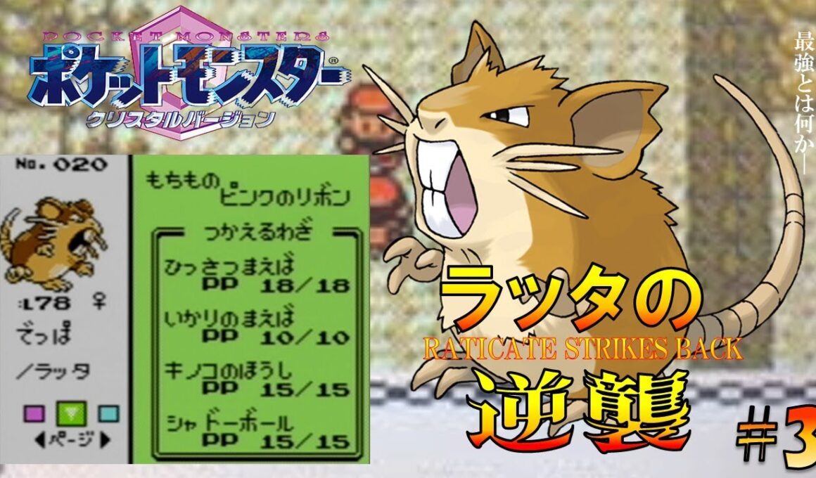 【ポケモン1匹縛りプレイ】ラッタにきのこのほうしを覚えさせてジョウトを旅してレッドに逆襲する!!ポケモン1匹縛りプレイ強化コラッタきみにきめた!! part3【ゲーム実況】【縛りプレイ】