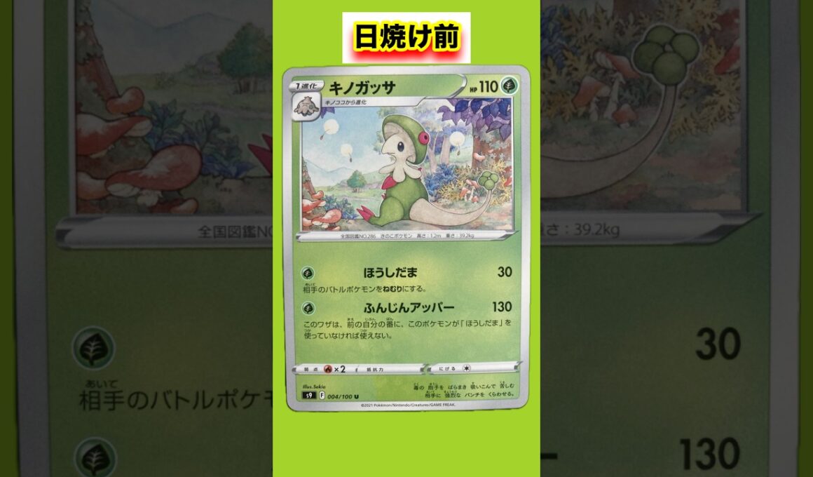 キノガッサの日焼けポケモンカード #shorts