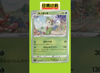 キノガッサの日焼けポケモンカード #shorts
