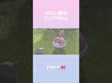 どすこい親分ピンプクちゃん🥚🎀 #ポケモンアルセウス #ポケモン #親分 #ポケモンsv