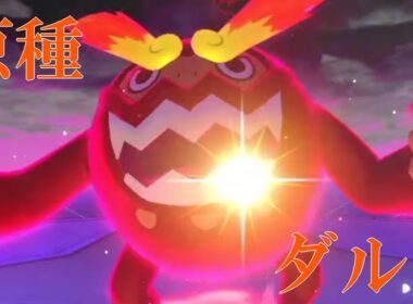 ガラルの姿に負けるな！原種のヒヒダルマ！