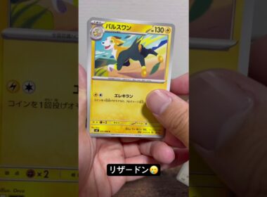 アイドル🎙️ポッチャマ🐧#ポケモンカード #ポケモン #ポケカ #ポケカ開封