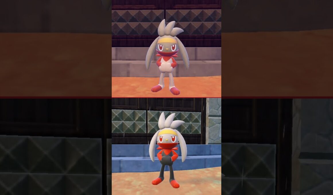 #ラビフット #ポケモン  #raboot  #pokemonscarletandviolet