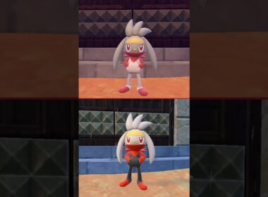 #ラビフット #ポケモン  #raboot  #pokemonscarletandviolet