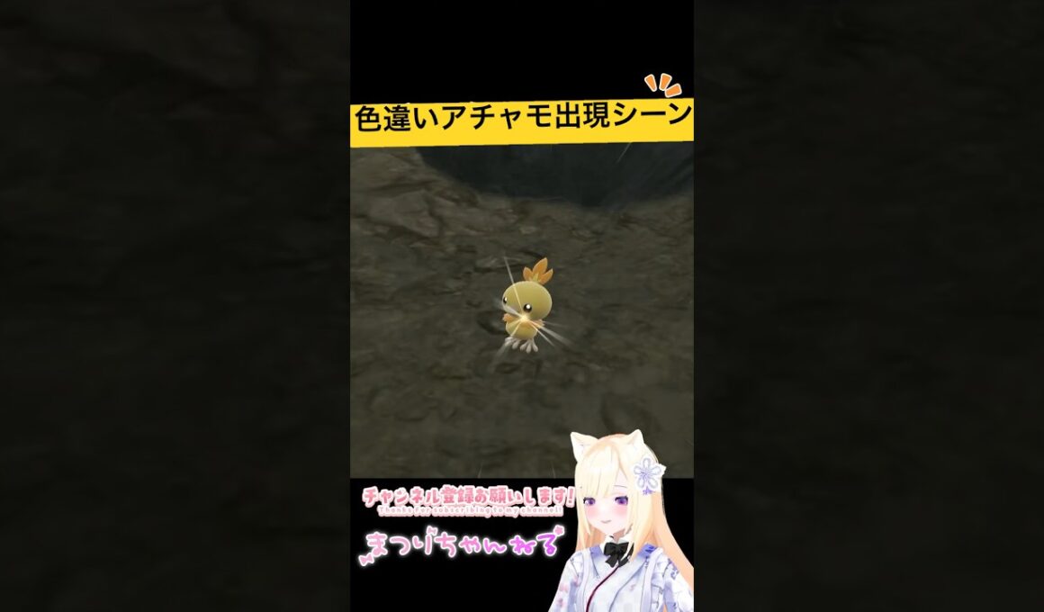 #ポケモンsv 色違いアチャモ出現シーン #vtuber #shorts