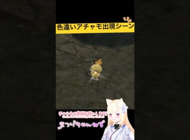 #ポケモンsv 色違いアチャモ出現シーン #vtuber #shorts