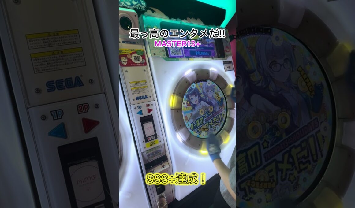 最っ高のエンタメだ‼︎鳥プラ！サビの配置は身体を動かすと楽になる気がする#shorts