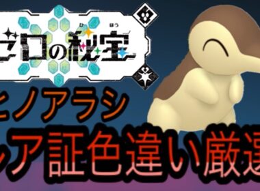 『ぬまってます』ヒノアラシレア証色違い厳選！！ポケモンsv藍の円盤