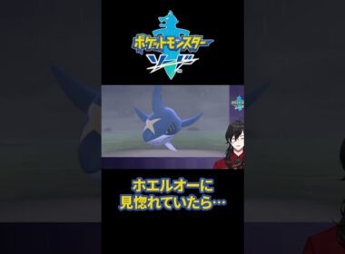 ホエルオーに見惚れていたら…