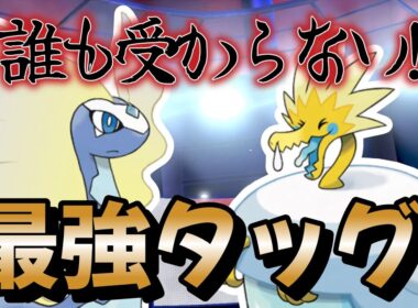 [ポケモン剣盾]最強タッグここに完成!! アマルルガ×パッチルドンのゆきかきコンビでランクマを滑る