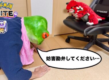 【完ソロゲコ 1606~】利敵が来るまで耐久【ポケモンユナイト】